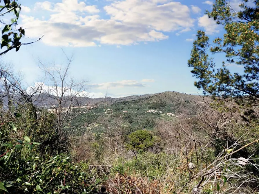 Immagine 8 di Magazzino in vendita  in Via Pairola, N. snc a San Bartolomeo Al Mare