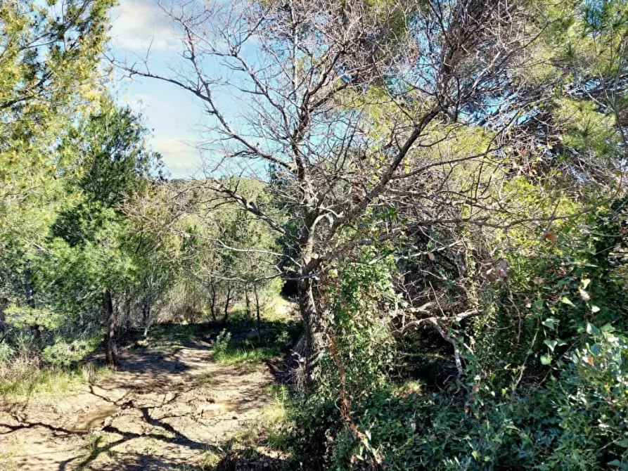 Immagine 9 di Magazzino in vendita  in Via Pairola, N. snc a San Bartolomeo Al Mare