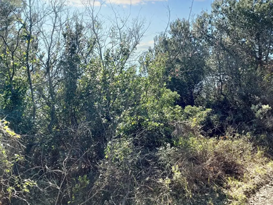 Immagine 10 di Magazzino in vendita  in Via Pairola, N. snc a San Bartolomeo Al Mare