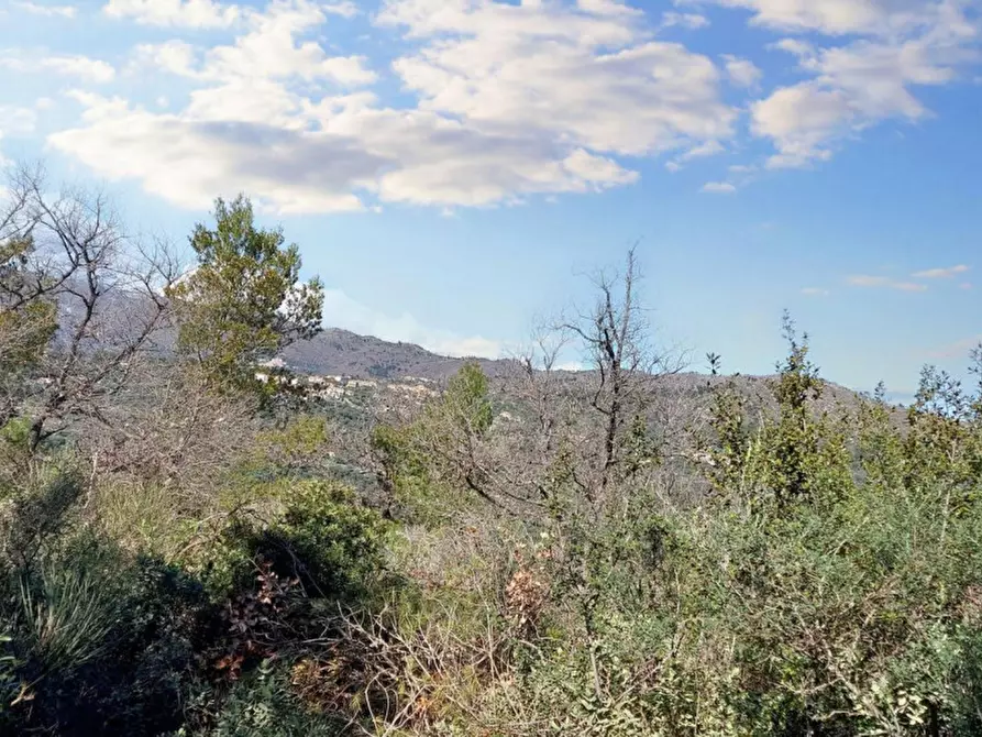 Immagine 11 di Magazzino in vendita  in Via Pairola, N. snc a San Bartolomeo Al Mare