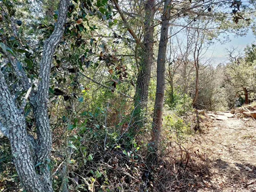 Immagine 12 di Magazzino in vendita  in Via Pairola, N. snc a San Bartolomeo Al Mare