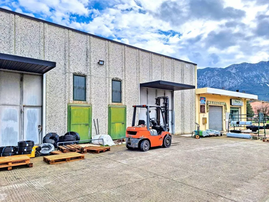 Immagine 3 di Magazzino in vendita  in SP Irgoli-Capo Comino, N. 2 a Irgoli