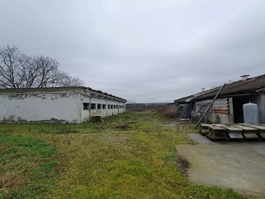 Immagine 38 di Casa bifamiliare in vendita  in VIA LIBERTà a Concordia Sulla Secchia