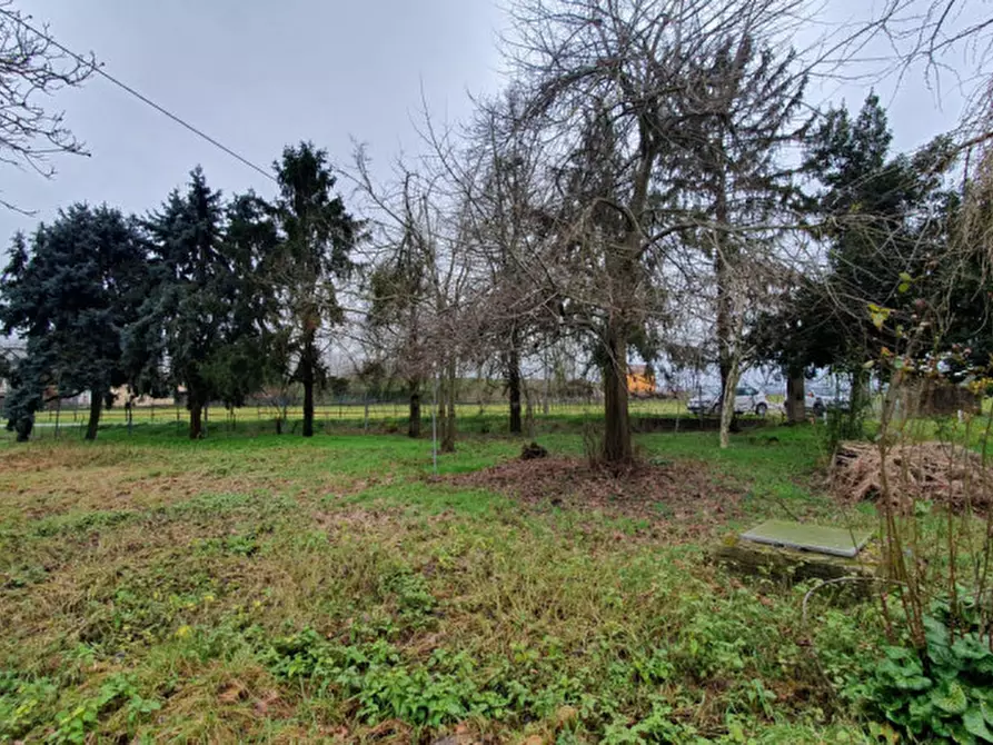 Immagine 39 di Casa bifamiliare in vendita  in VIA LIBERTà a Concordia Sulla Secchia