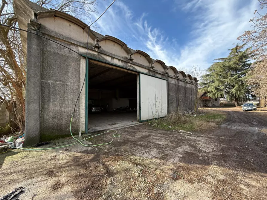 Immagine 7 di Casa indipendente in vendita  in VIA OPPI a Veronella