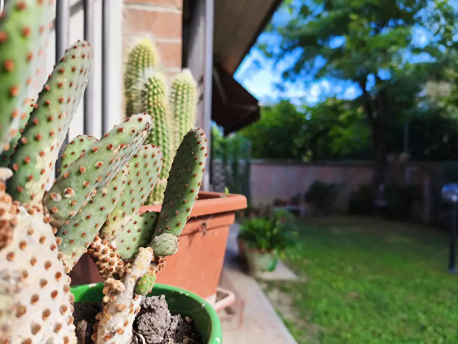 Immagine 43 di Villetta a schiera in vendita  in via pasolini a San Giorgio Di Piano