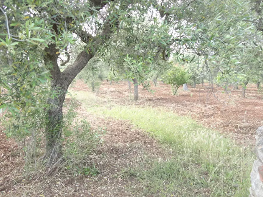 Immagine 3 di Terreno in vendita  in Contrada Paganiello a Modugno