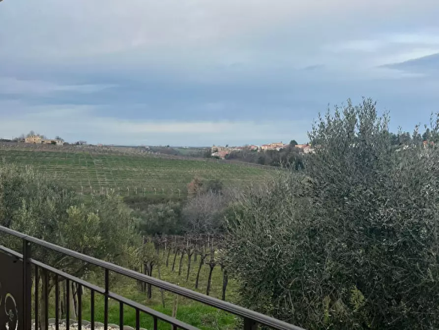 Immagine 25 di Appartamento in affitto  in Arielli a Arielli