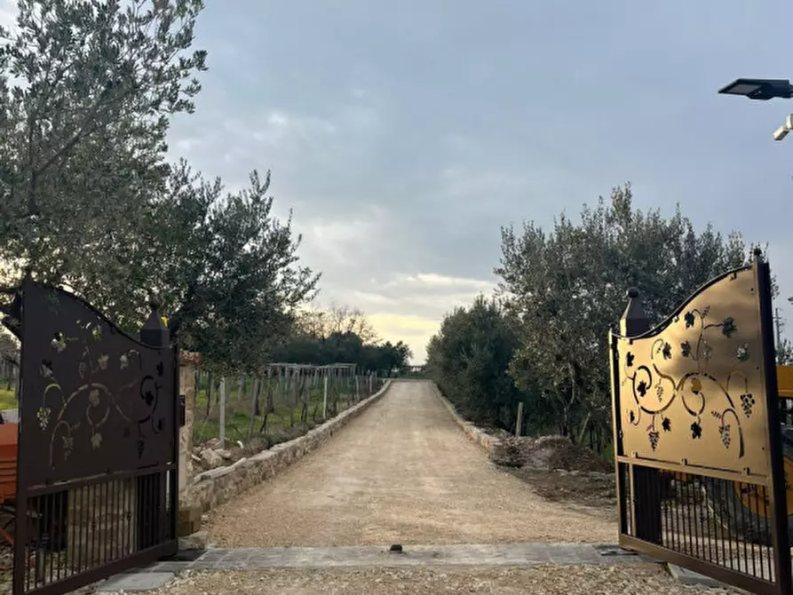 Immagine 30 di Appartamento in affitto  in Arielli a Arielli