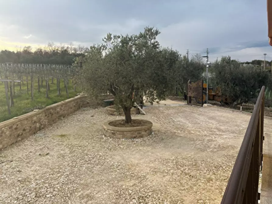 Immagine 31 di Appartamento in affitto  in Arielli a Arielli