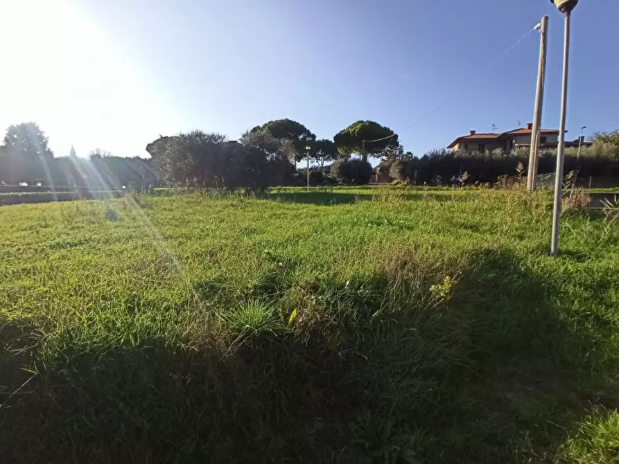 Immagine 3 di Terreno in vendita  a Castiglione Del Lago