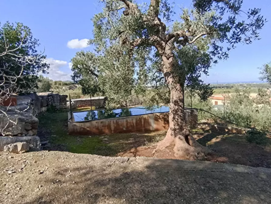 Immagine 22 di Rustico / casale in vendita  in AMUJA a Fasano