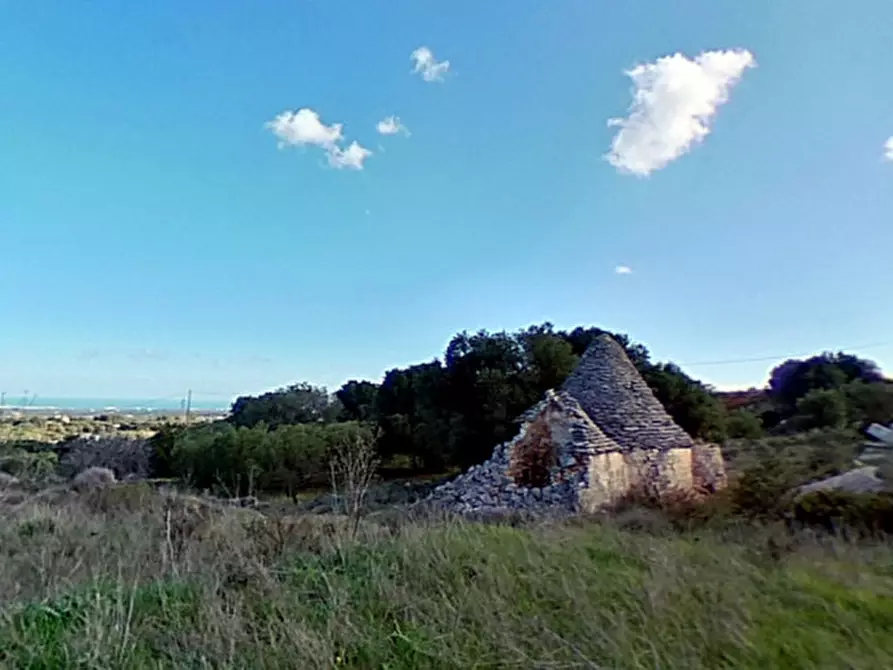 Immagine 25 di Rustico / casale in vendita  in AMUJA a Fasano