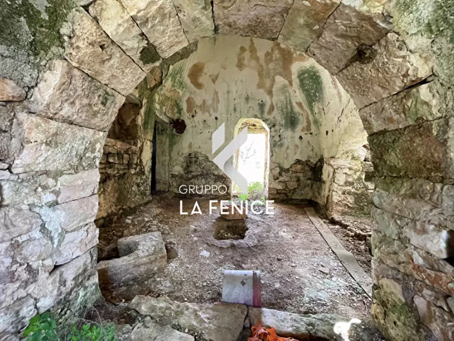 Immagine 4 di Rustico / casale in vendita  in C.da Nardelli a Locorotondo