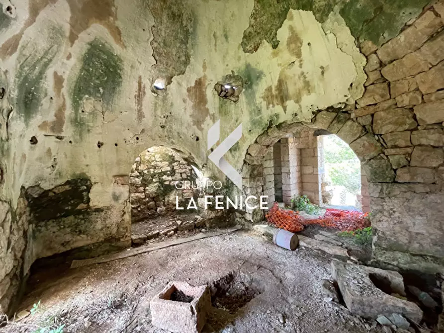 Immagine 7 di Rustico / casale in vendita  in C.da Nardelli a Locorotondo