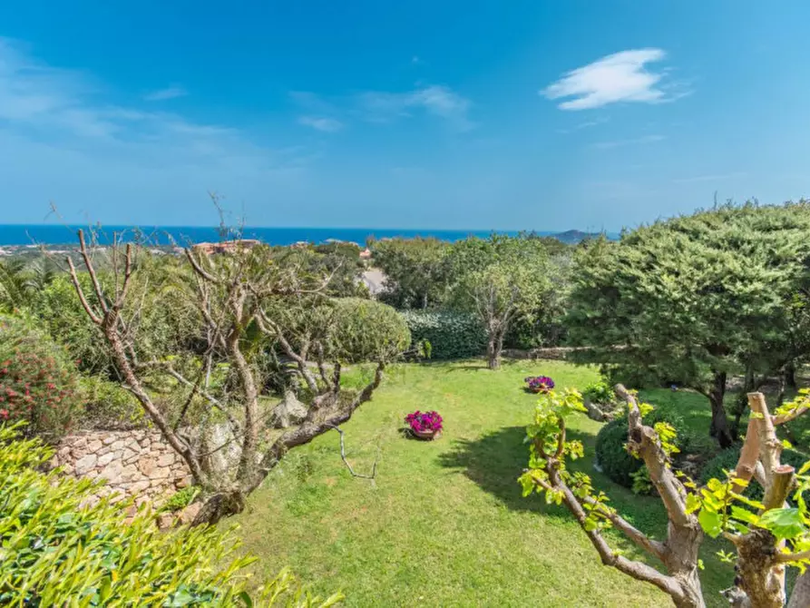 Immagine 35 di Villa in vendita  in via della Pantogia a Arzachena