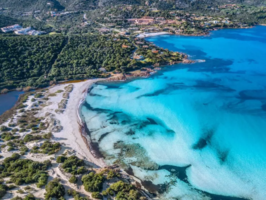 Immagine 40 di Villa in vendita  in via della Pantogia a Arzachena