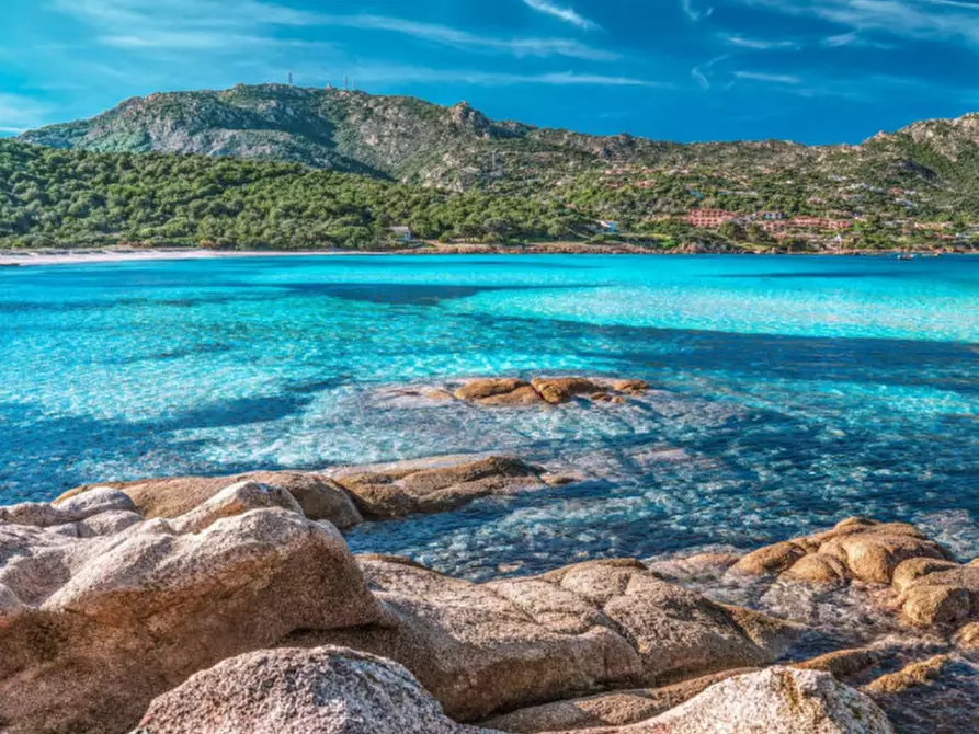 Immagine 41 di Villa in vendita  in via della Pantogia a Arzachena