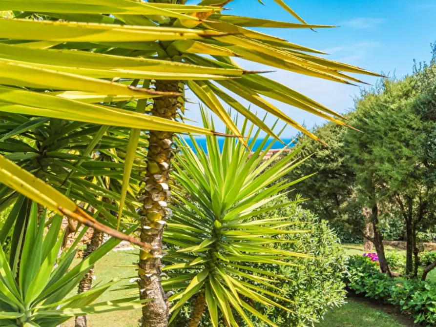 Immagine 43 di Villa in vendita  in via della Pantogia a Arzachena