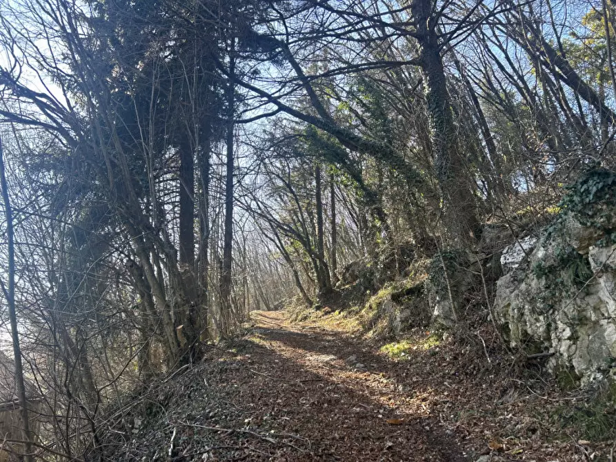 Immagine 8 di Rustico / casale in vendita  in via case nuove a Bosco Chiesanuova