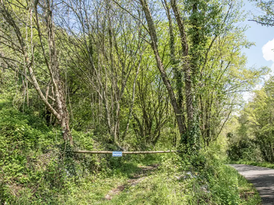 Immagine 14 di Rustico / casale in vendita  in via case nuove a Bosco Chiesanuova