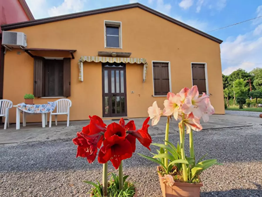 Immagine 4 di Casa indipendente in vendita  in via borromeo a Rubano
