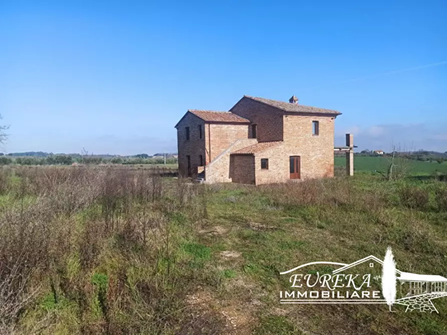 Immagine 4 di Rustico / casale in vendita  a Castiglione Del Lago