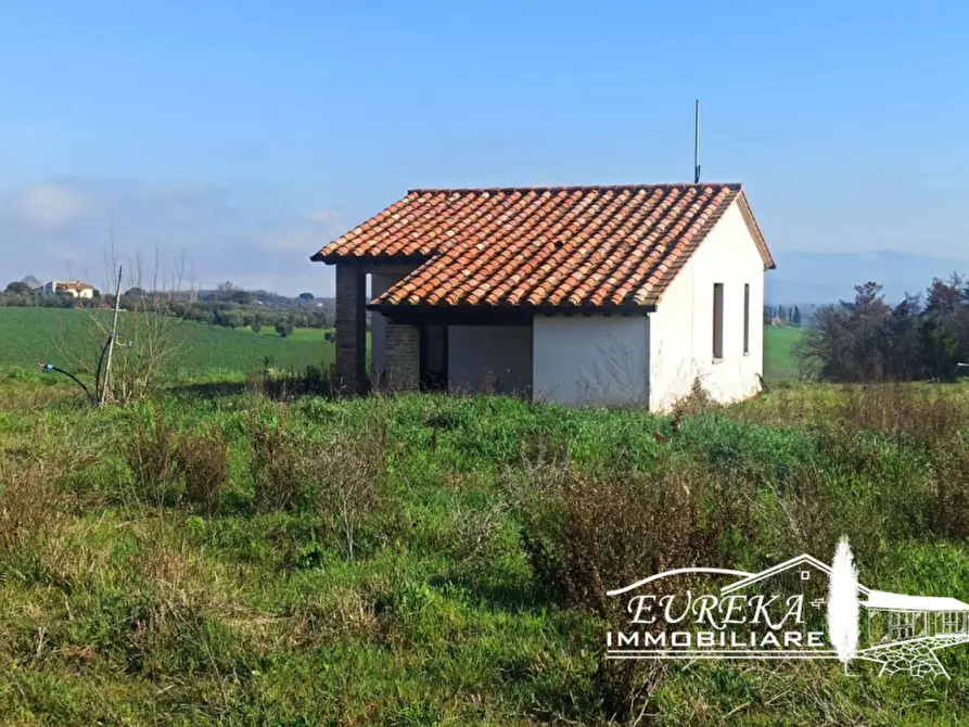 Immagine 6 di Rustico / casale in vendita  a Castiglione Del Lago