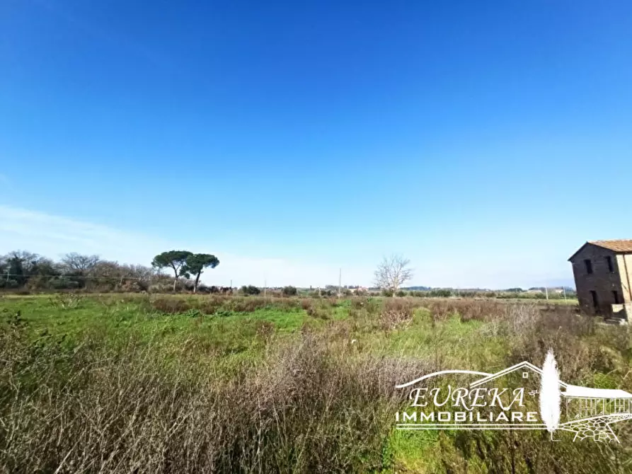Immagine 14 di Rustico / casale in vendita  a Castiglione Del Lago