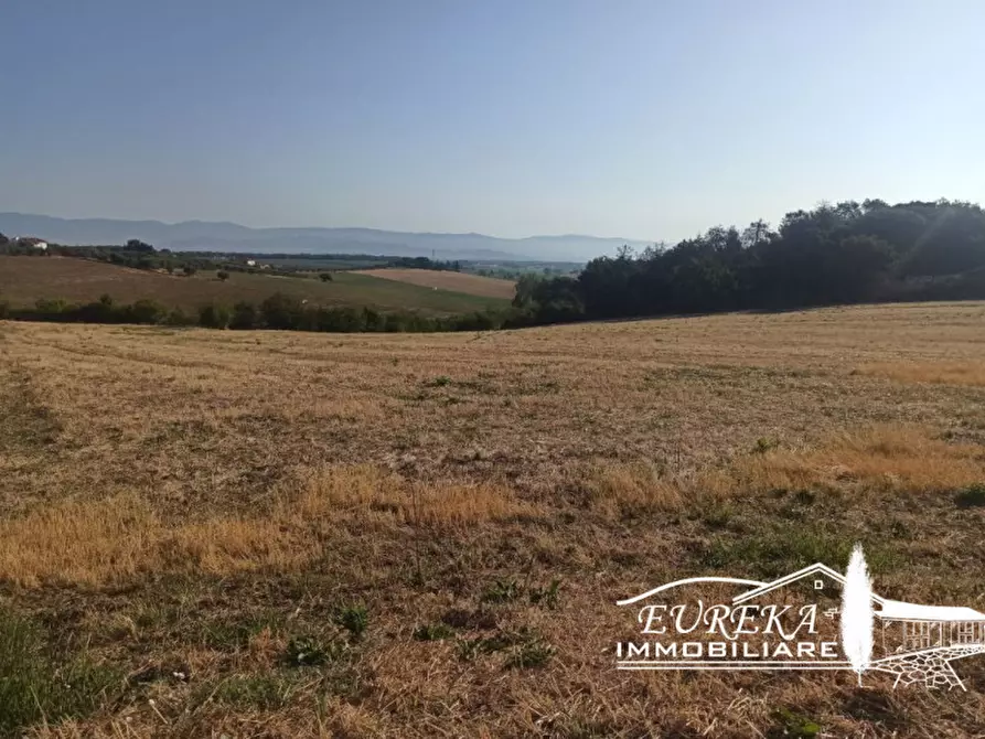 Immagine 15 di Rustico / casale in vendita  a Castiglione Del Lago