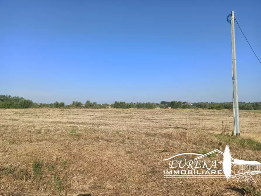 Immagine 16 di Rustico / casale in vendita  a Castiglione Del Lago