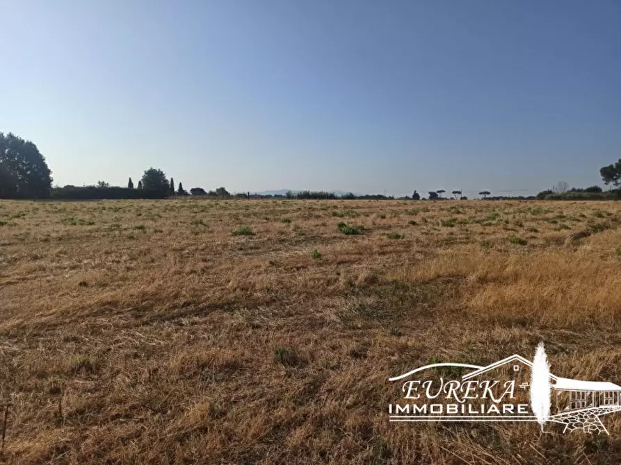 Immagine 17 di Rustico / casale in vendita  a Castiglione Del Lago