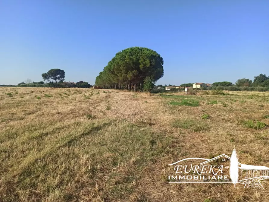 Immagine 18 di Rustico / casale in vendita  a Castiglione Del Lago