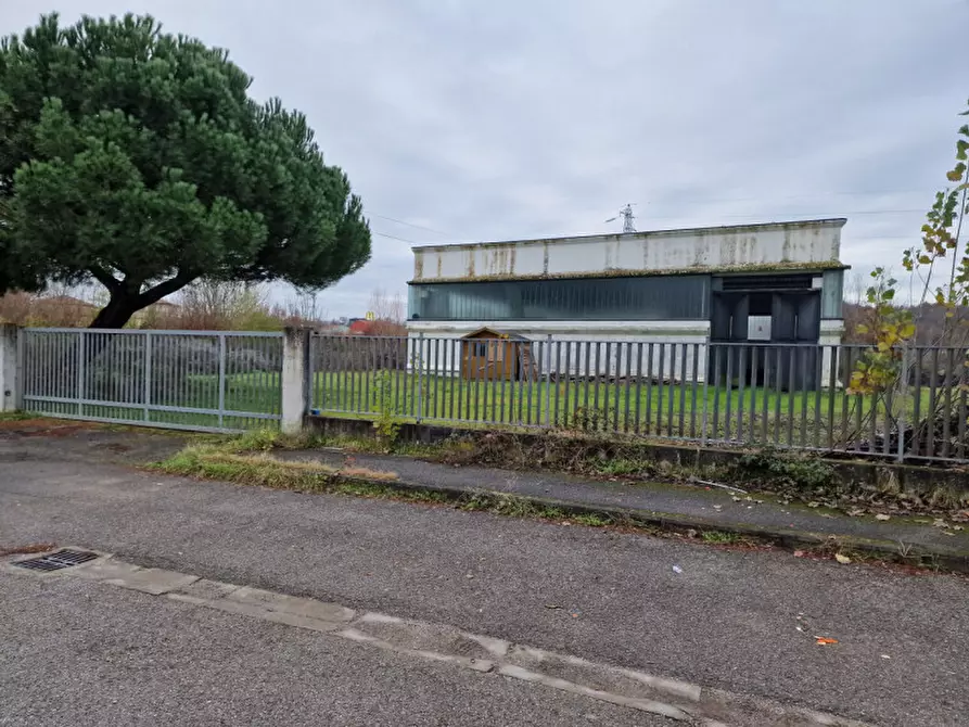 Immagine 1 di Capannone industriale in vendita  a Foiano Della Chiana
