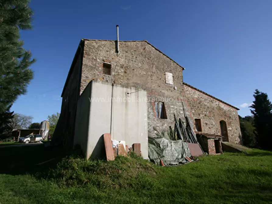 Immagine 3 di Rustico / casale in vendita  a Trequanda