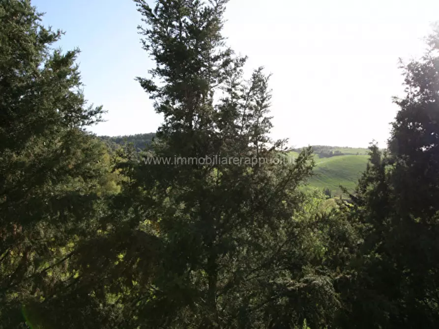 Immagine 4 di Rustico / casale in vendita  a Trequanda