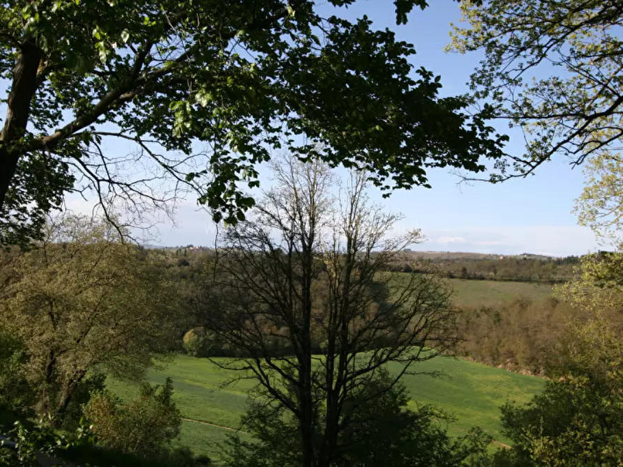 Immagine 5 di Rustico / casale in vendita  a Trequanda