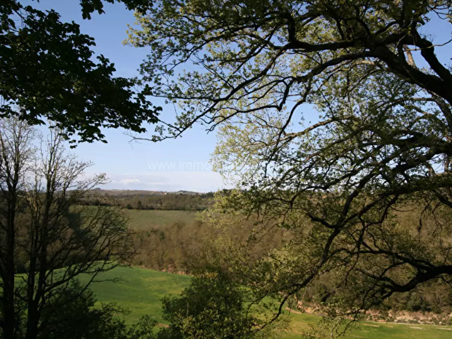 Immagine 6 di Rustico / casale in vendita  a Trequanda