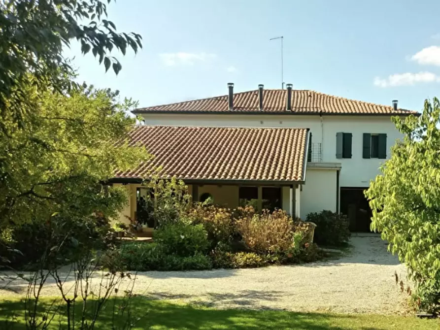 Immagine 4 di Casa indipendente in vendita  in Via Canaletto a Vedelago