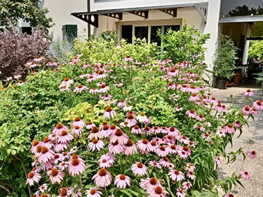 Immagine 8 di Casa indipendente in vendita  in Via Canaletto a Vedelago