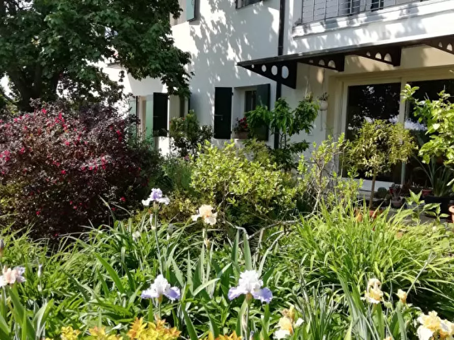 Immagine 21 di Casa indipendente in vendita  in Via Canaletto a Vedelago