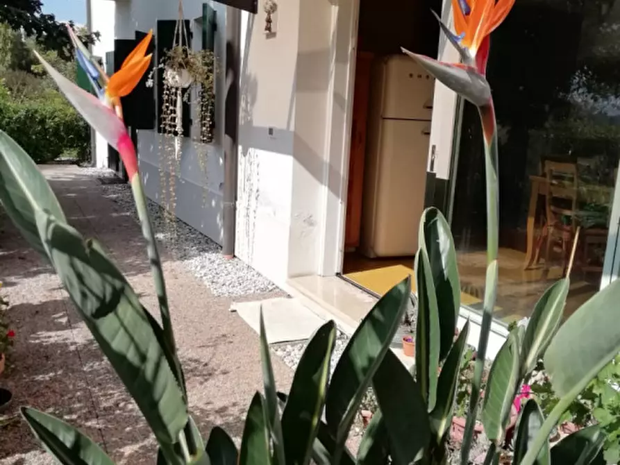 Immagine 24 di Casa indipendente in vendita  in Via Canaletto a Vedelago