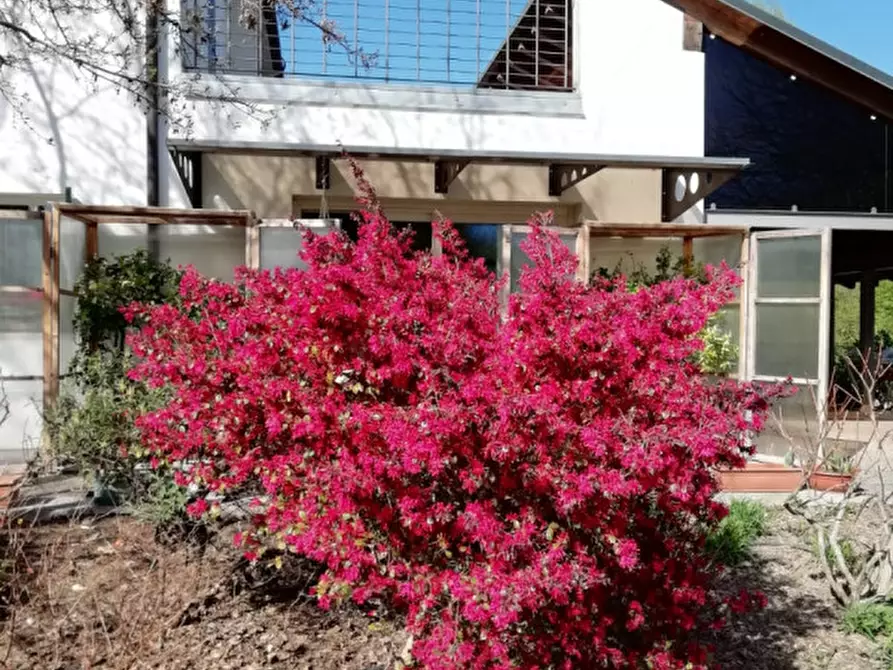 Immagine 26 di Casa indipendente in vendita  in Via Canaletto a Vedelago