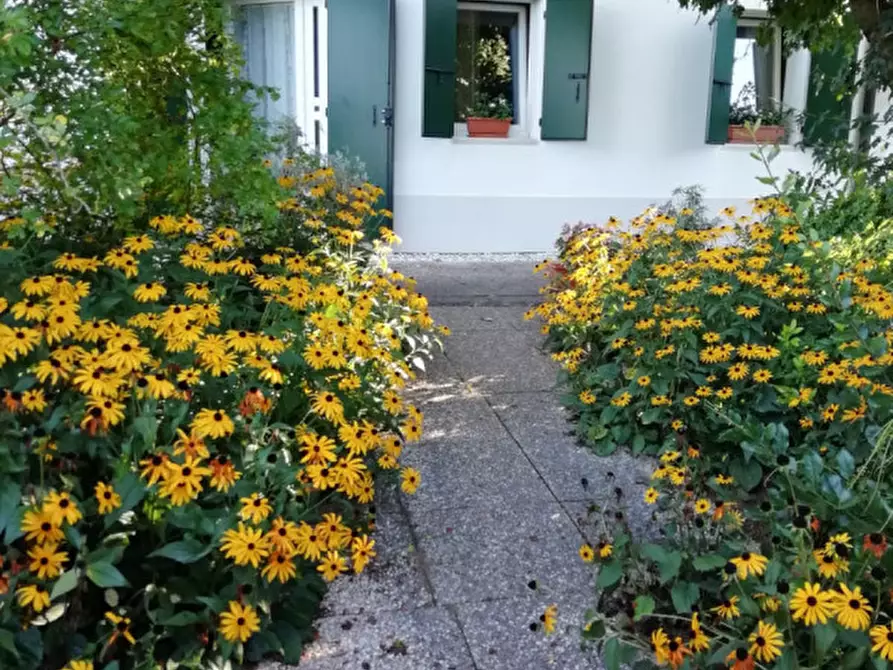 Immagine 14 di Casa indipendente in vendita  in Via Canaletto a Vedelago