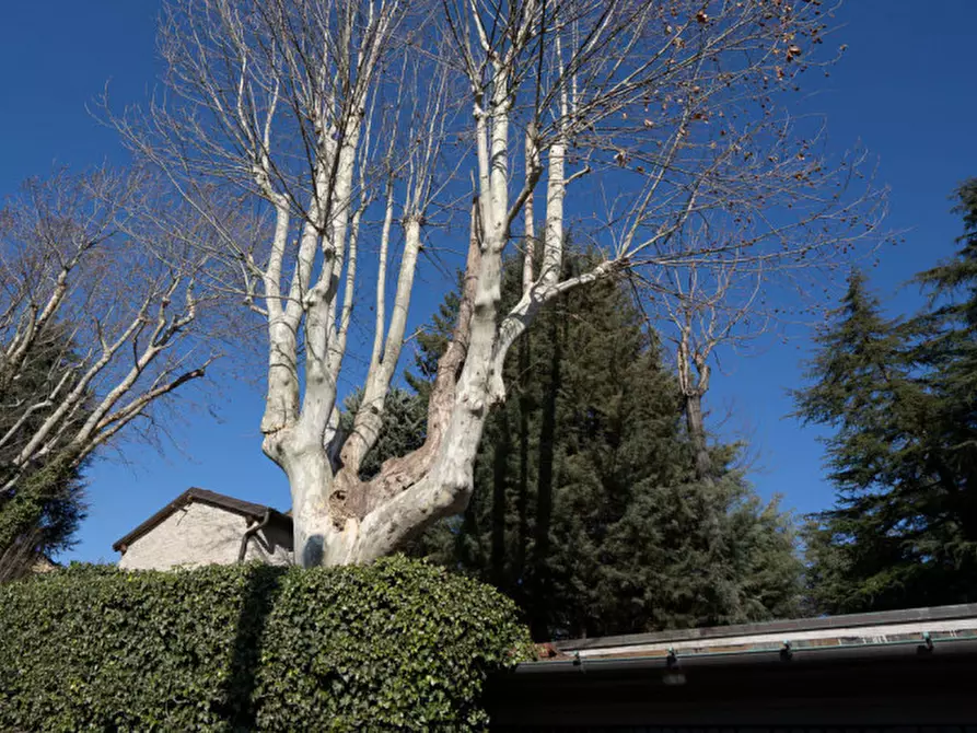Immagine 8 di Casa indipendente in vendita  in via dell'orologio a Sasso Marconi