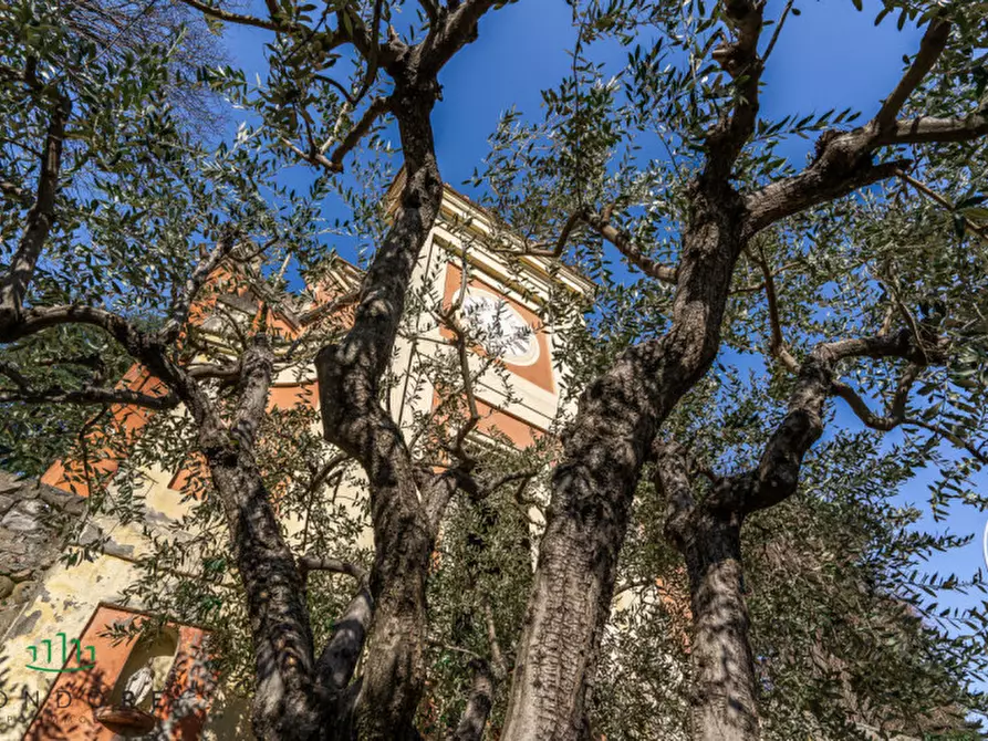 Immagine 19 di Casa indipendente in vendita  in via dell'orologio a Sasso Marconi