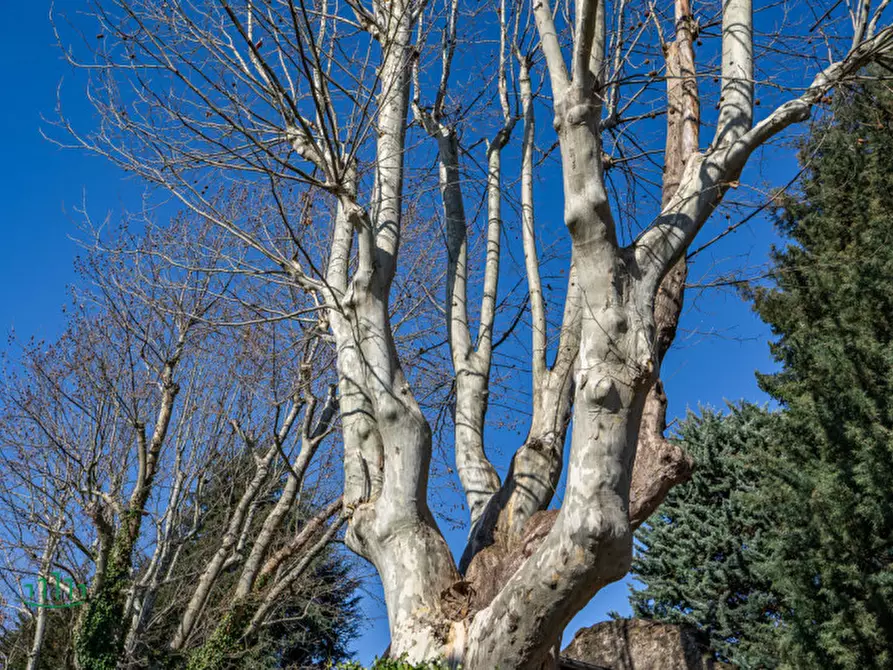 Immagine 28 di Casa indipendente in vendita  in via dell'orologio a Sasso Marconi