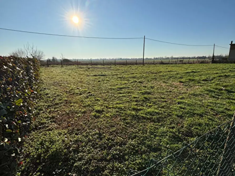 Immagine 2 di Terreno in vendita  a Canda