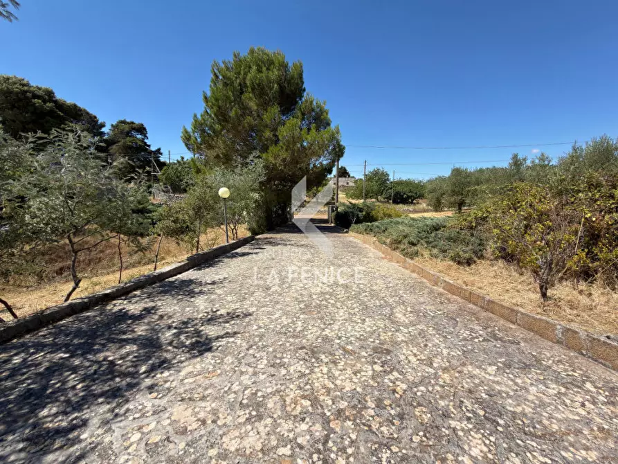 Immagine 35 di Rustico / casale in vendita  in Strada Trasconi a Martina Franca
