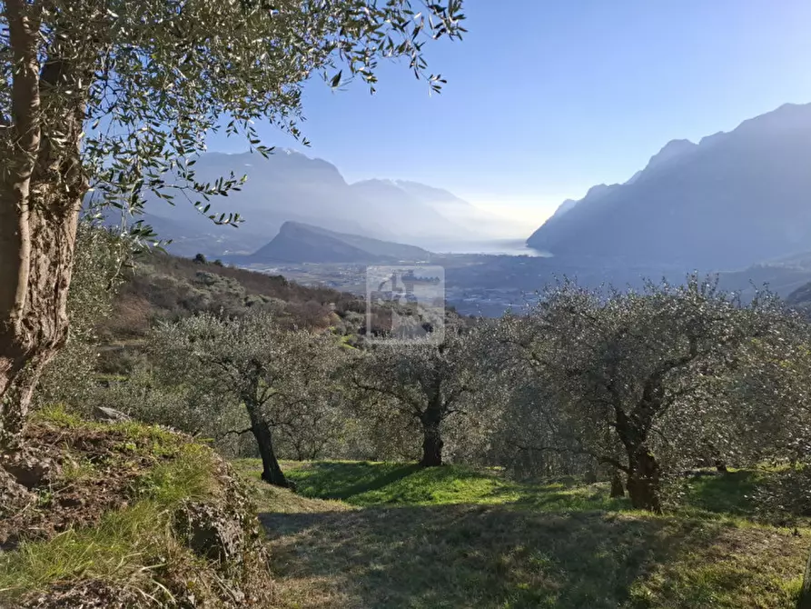 Immagine 2 di Terreno in vendita  a Arco